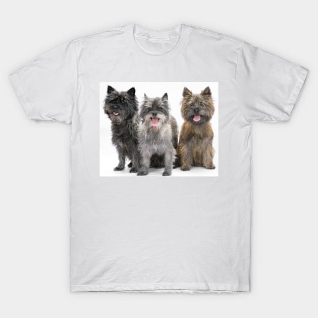 Three Cairn Terriers T-Shirt by Avalinart